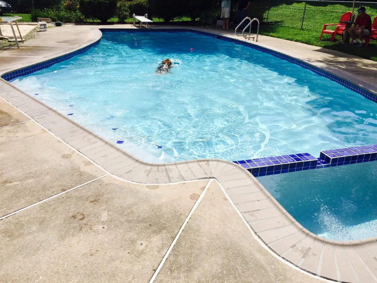 Residential pool with blue tile trim marking the steps and waterline