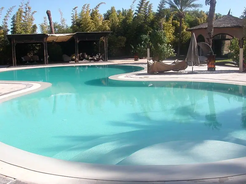 Free-form pool with bright white finish and tropical landscaping